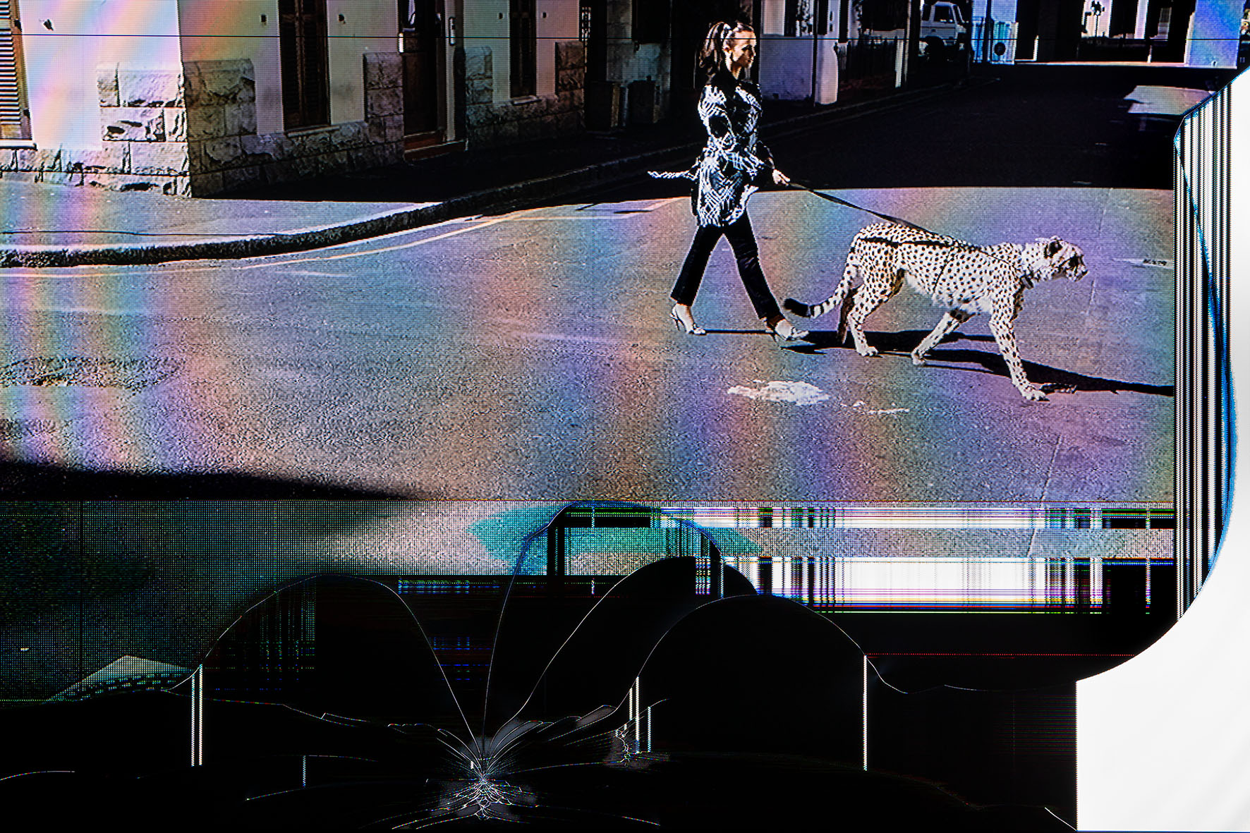 Une photographie d'une femme marchant avec un guépard en laisse occupe les deux tiers verticaux de l'image. Sur le tiers inférieur, des lignes blanches, traces d'impact laissent comprendre une surface cassée d'écran