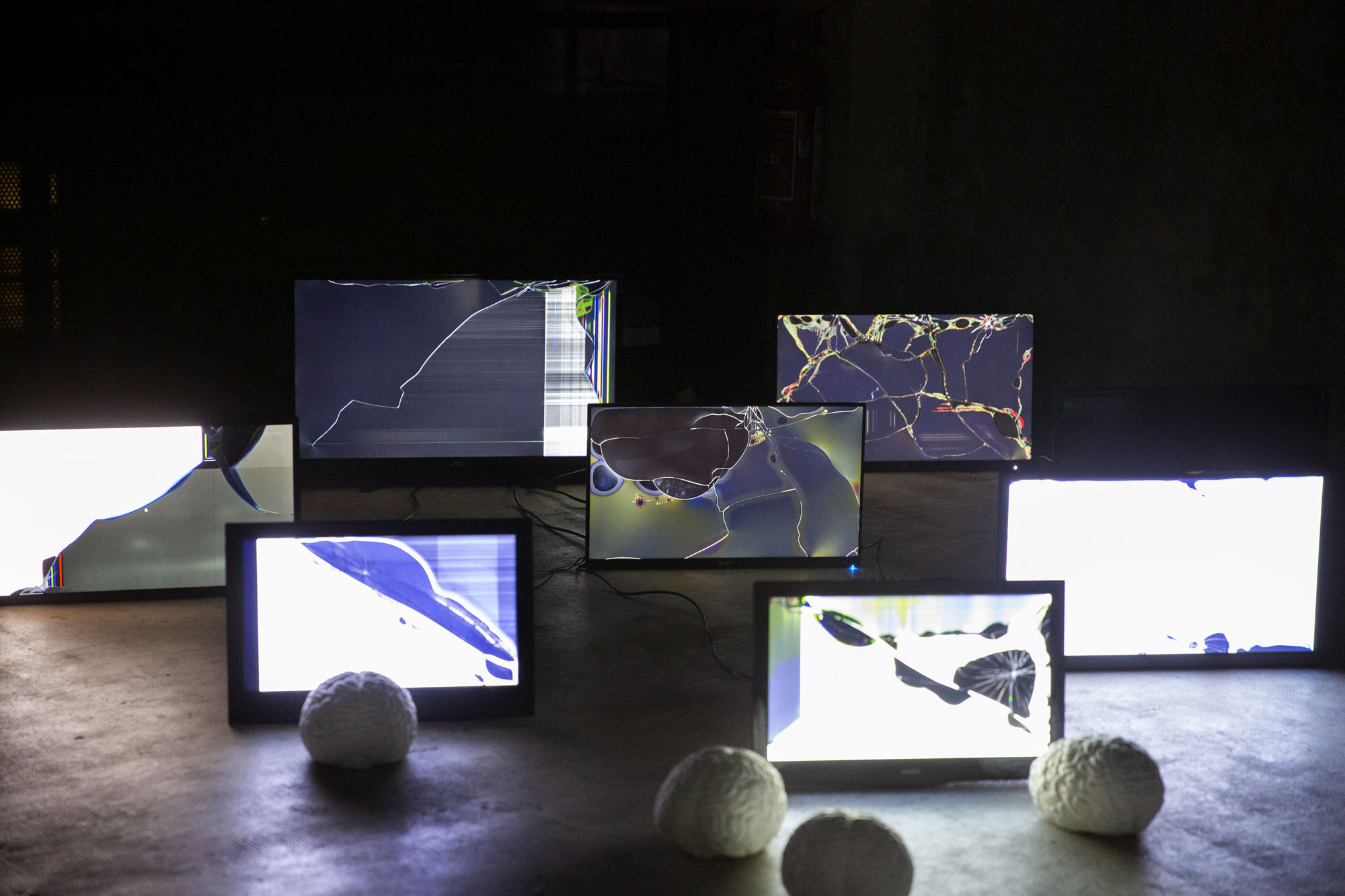 Installation artistique en collaboration avec Elisa Fantozzi. Des cerveaux en plâtre font face à des écrans de télévision défectueux.